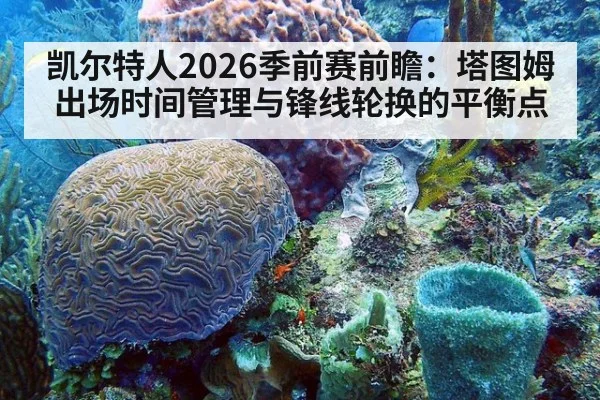 凯尔特人2026季前赛前瞻：塔图姆出场时间管理与锋线轮换的平衡点
