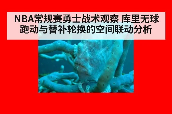 NBA常规赛勇士战术观察 库里无球跑动与替补轮换的空间联动分析